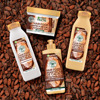 Imagen de FRUCTIS ACONDICIONADOR HAIR FOODS RESTAURACIÓN RIZOS MANTECA DE CACAO (300 ml)