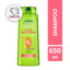 Imagen de FRUCTIS SH. ADIOS ESPONJADO [650 ml]