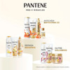 Imagen de PANTENE SH. BIOTINAMINA ANTI CAIDA [300 ml]